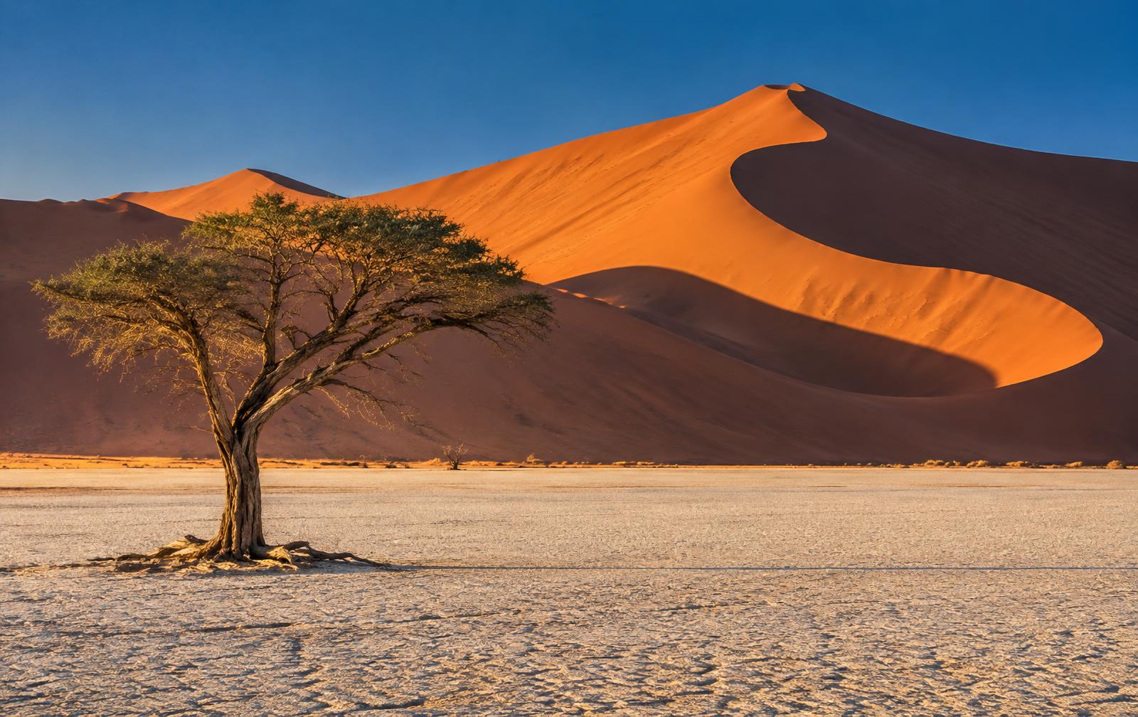 Desert & Wildlife, Namibia