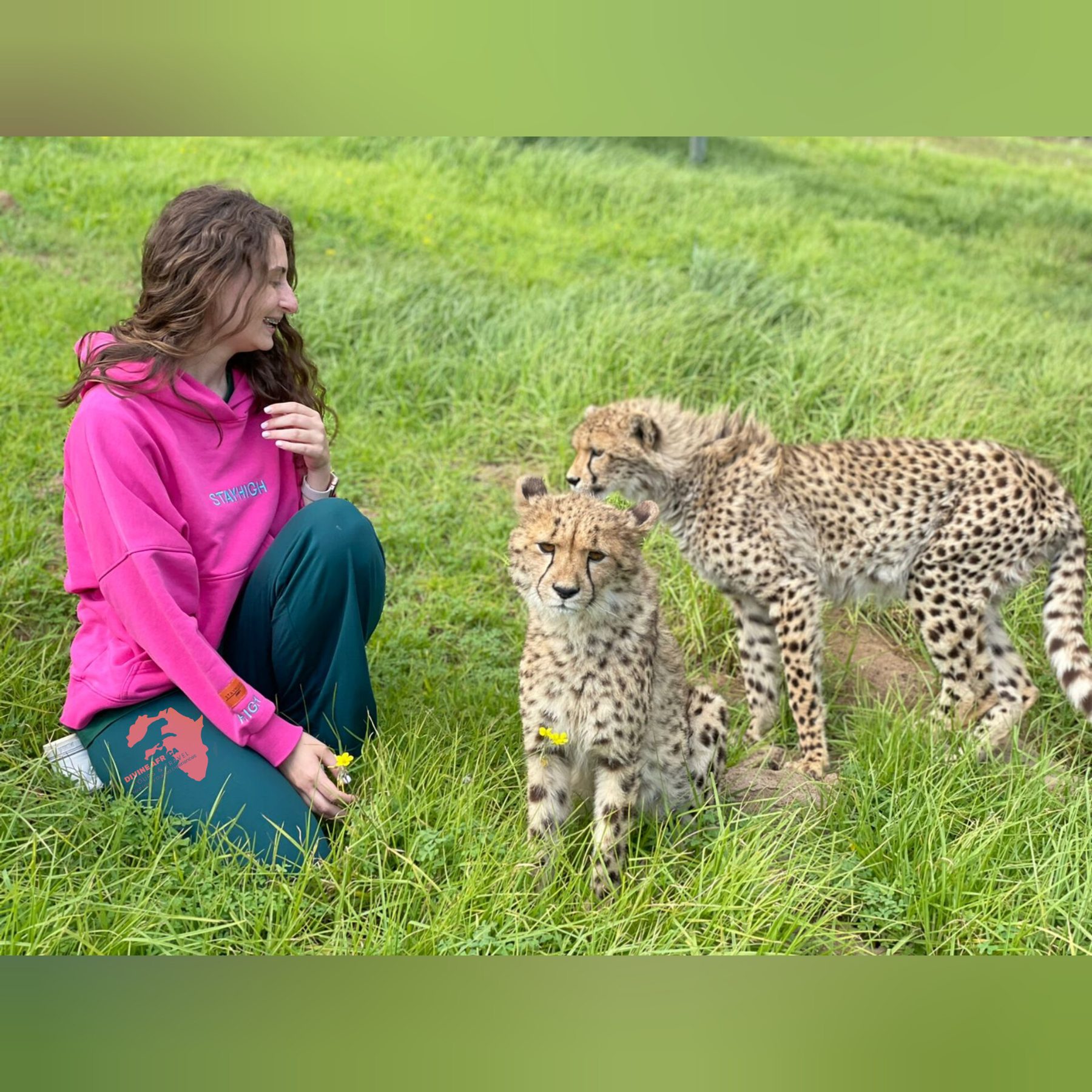 Botswana Safaris